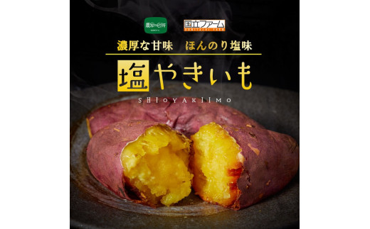 E 2 焼き芋 冷凍焼き芋 冷やし焼き芋 塩やきいも 東京都立川市 ふるさと納税 ふるさとチョイス