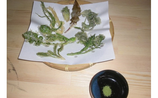 摘んだ野草は天ぷらにして、抹茶塩でいただきます！