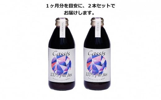 カシス果汁100％ジュース（無加糖・無添加） 250ml×2本 - 青森県弘前市