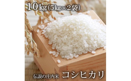 伝説の庄内米 コシヒカリ 10kg F2Y-1949 266916 - 山形県山形県庁