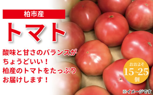 柏市場直送トマト　4.5kgセット 378659 - 千葉県柏市