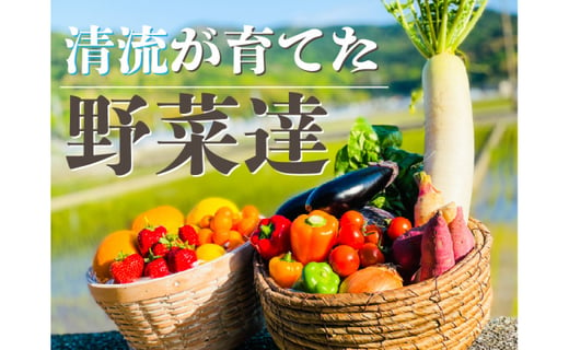 野菜屋高知の新鮮野菜セット 日曜市の野菜を味わうお試し便 高知県高知市 ふるさと納税 ふるさとチョイス