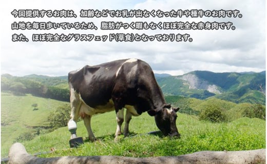 南国斉藤牧場 山地酪農放牧牛の牛肉セット 高知県南国市 ふるさと納税 ふるさとチョイス