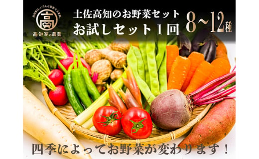 野菜屋高知の新鮮野菜セット 日曜市の野菜を味わうお試し便 高知県高知市 ふるさと納税 ふるさとチョイス