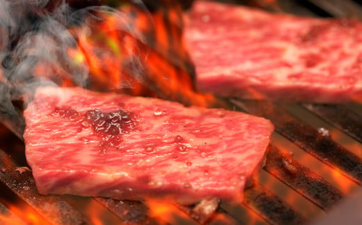 肥後のあか牛 焼肉用 500g 熊本県産和牛 G-33
