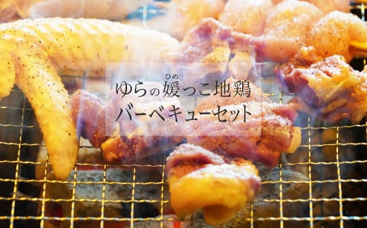 ゆらの媛っこ地鶏ｂｂｑセット 約1 5kg 愛媛県愛南町 ふるさと納税 ふるさとチョイス