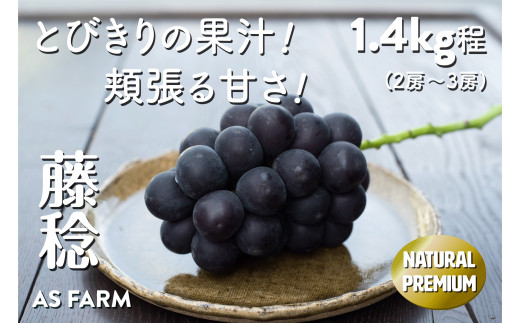 おすすめ 山梨県甲州市 ぶどうのふるさと納税を探す ふるさとチョイス