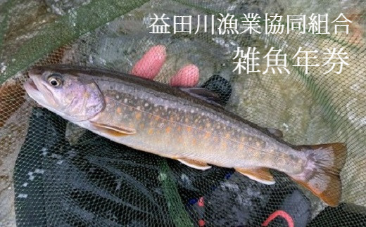 予約受付 令和5年 益田川雑魚年券 渓流釣り 岐阜県下呂市 ふるさとチョイス ふるさと納税サイト