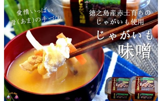 徳之島の赤土育ちのじゃがいも使用！ちょっと珍しいじゃがいも味噌をお届けします！