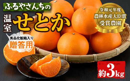 Ad Ab2 農林水産大臣賞受賞農園 ふるやさんちの温室せとか 秀品 約3kg 8 12玉入 化粧箱入 ふるやさんちのみかん園 宮崎県串間市 ふるさと納税 ふるさとチョイス