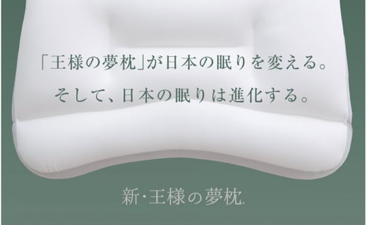 002 新 王様の夢枕 超極小ビーズ素材 専用枕カバー付き 秋田県八峰町 ふるさと納税 ふるさとチョイス