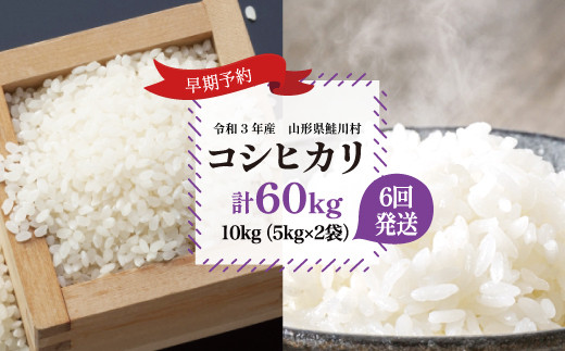 令和3年産米早期予約 コシヒカリ定期便60kg 10kg 6回発送 令和4年4月 令和4年9月コース 山形県鮭川村 ふるさと納税 ふるさと チョイス