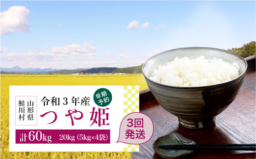 令和3年産米早期予約 特別栽培米 つや姫定期便60kg kg 3回発送 令和4年4月 6月 8月コース 山形県鮭川村 ふるさと納税 ふるさとチョイス