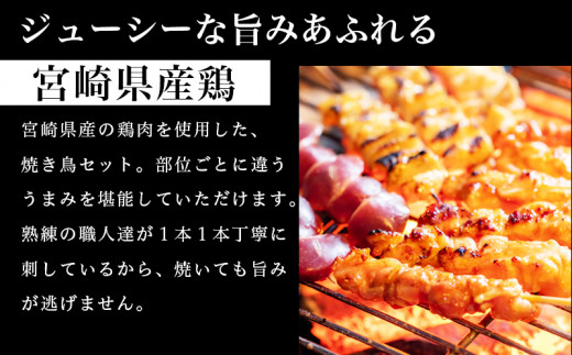 6ヶ月定期便 全3回 宮崎県産若鶏の焼き鳥セット6種 60本 盛り合わせ 冷凍 2ヶ月に1回 M146 004 宮崎県宮崎市 ふるさと納税 ふるさとチョイス