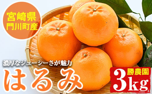 宮崎県門川町産はるみ(約3kg)柑橘 果物 数量限定 期間限定 国産 フルーツ 常温 保存 遠見半島【AE-20】【勝農園】 437517 - 宮崎県門川町