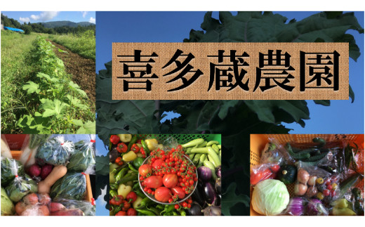 無農薬・無化学肥料・在来種・固定種の野菜セット 7～10品目 【667】
