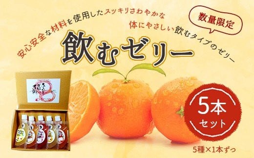 飲むゼリー 5本セット（5種類×1本）果汁50% 柑橘 数量限定 310521 - 熊本県宇城市