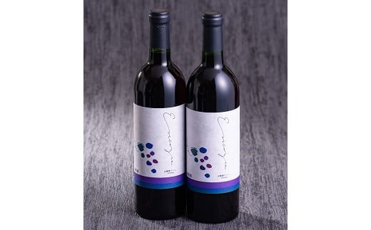 A-22 山葡萄ワイン2本セット 725390 - 長野県豊丘村
