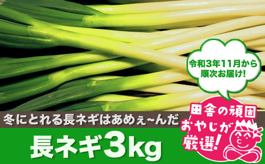 野菜のふるさと納税返礼品 おすすめ 21最新情報 Hisふるさと納税比較