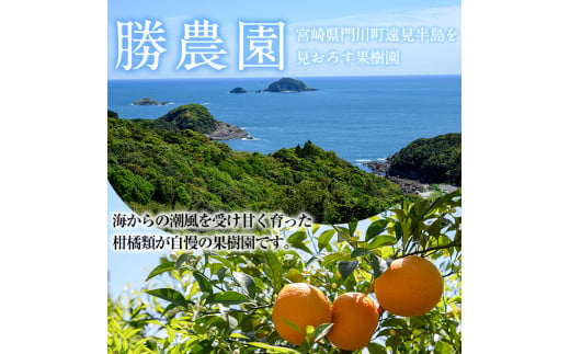 宮崎県門川町産文旦≪ぶんたん≫(8個以上)柑橘 果物 数量限定 期間限定 国産 フルーツ 常温 保存 遠見半島【AE-17】【勝農園】