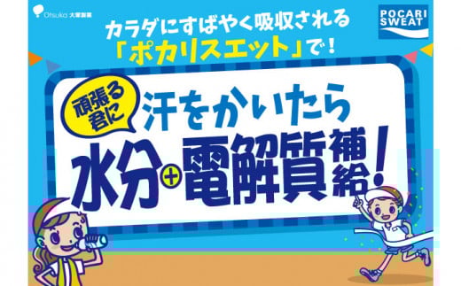 ポカリスエット 500ml 1箱 (24本)