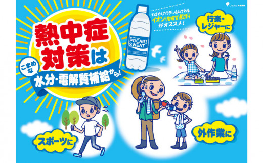 ポカリスエット 500ml 1箱 (24本)