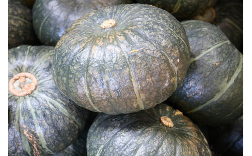 11月下旬発送 旬の採れたて野菜 かぼちゃ 新じゃがセット 北海道東川町 ふるさと納税 ふるさとチョイス