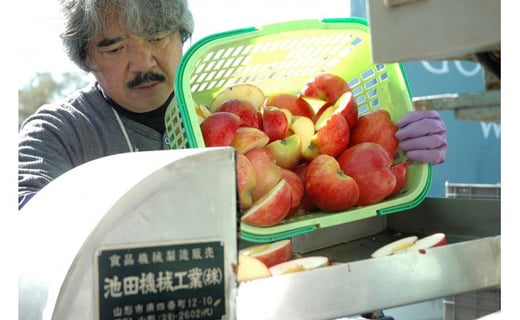 五枚橋ワイナリー 林檎ワイン 人気の2本セット 岩手県盛岡市 ふるさと納税 ふるさとチョイス