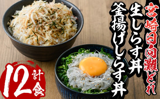 E 9 宮崎日向灘どれ生しらす丼と釜揚げしらす丼 合計12食分 水永水産 宮崎県門川町 ふるさと納税 ふるさとチョイス