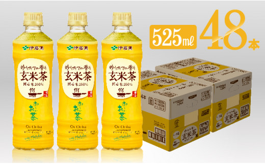 お いお茶 玄米茶525ml 24本 2ケースpet 宮崎県川南町 ふるさと納税 ふるさとチョイス