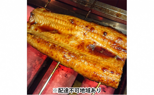 52 0452 海鮮酒処 美魚味 岡山旭川の天然 青うなぎ 蒲焼 約400g 配達不可 離島 岡山県岡山市 ふるさと納税 ふるさとチョイス