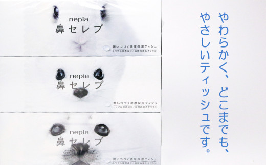 紙のまち苫小牧 鼻セレブティッシュペーパー(30箱) - 北海道苫小牧 ...