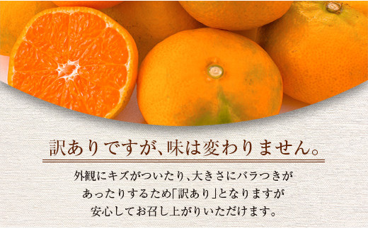 0 訳あり 温州みかん 計10kg サイズ混合 宮崎県日南市 ふるさと納税 ふるさとチョイス