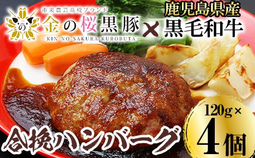 A 623 さつま藩バーグ 鹿児島県いちき串木野市 ふるさと納税 ふるさとチョイス