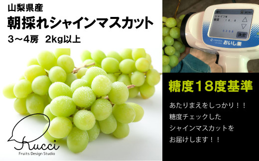 【糖度18度基準】シャインマスカット2.0㎏【朝採れ】