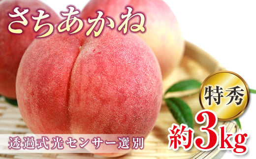 福島の桃 さちあかね 特秀 約3kg （9～11玉）  伊達市産 桃 先行予約 フルーツ 果物 もも モモ momo F20C-352 265818 - 福島県伊達市
