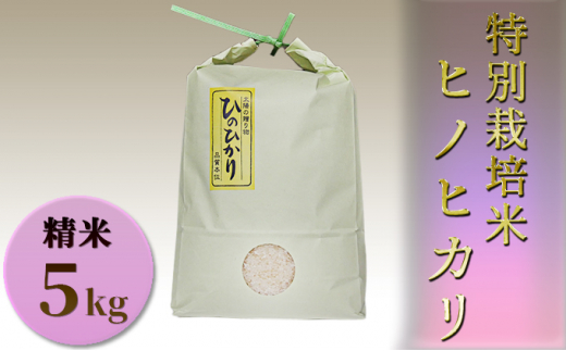 [№5258-0322]特別栽培米　ヒノヒカリ　精米5kg 755377 - 兵庫県姫路市