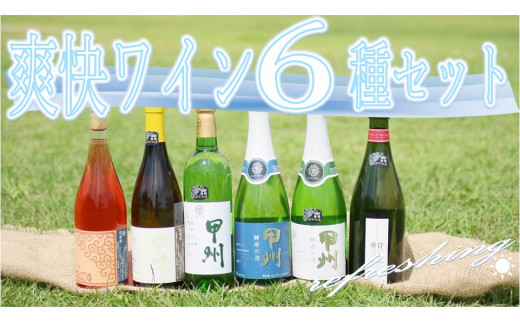 写真はイメージとなります。