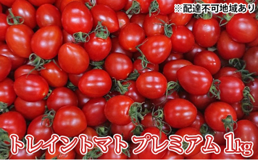 5258 0296 トレイントマト プレミアム 1kg 兵庫県姫路市 ふるさと納税 ふるさとチョイス