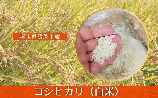 埼玉家鴻巣市の美味しいお米｜ふるさとチョイス - ふるさと納税サイト