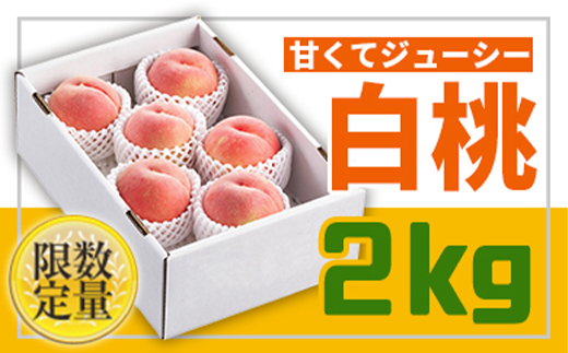 《先行予約 2025年度発送》フルーツ王国山形♪白桃秀品2kg FSY-0426 270789 - 山形県山形県庁