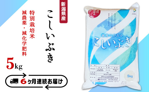 75-3K056【6ヶ月連続お届け】新潟県長岡産特別栽培米こしいぶき5kg