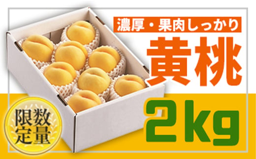 《先行予約 2025年度発送》山形黄金色の桃♪黄桃秀品2kg FSY-0428 270790 - 山形県山形県庁