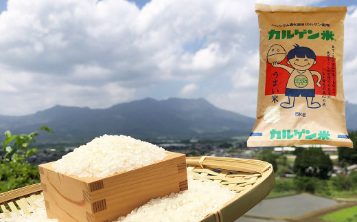 熊本県産 カルゲン農法米 コシヒカリ米 5kg 精米 米