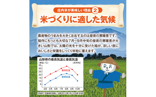 Sa0991 令和3年産 精米 庄内米 ササニシキ 10kg 5kg 2袋 Jm 山形県酒田市 ふるさと納税 ふるさとチョイス