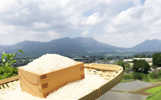 熊本県産 カルゲン農法米 コシヒカリ米 10kg 精米 米