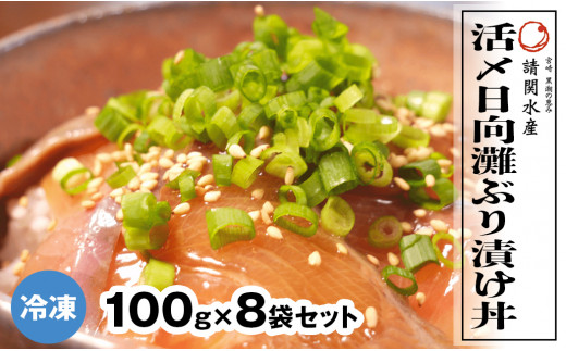 冷凍 活〆日向灘ぶり漬け丼 100g 8袋 53 延岡市延岡市 ふるさと納税 ふるさとチョイス 冷凍 活〆日向灘ぶり漬け丼 100g 8袋 53 延岡市延岡市 ふるさと納税 ふるさとチョイス