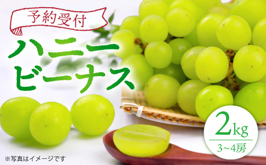 【2021年8月より順次発送】ハニービーナス 2㎏ 3~4房 種無し
