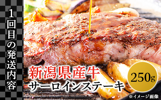 【1回目】新潟県産牛（長岡産）サーロインステーキ　250g