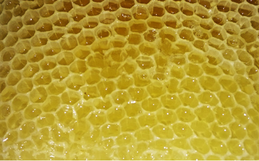平生町産の蜂の巣から抽出した蜜蝋を使っています